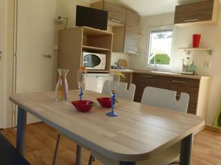 Mobil home confortable avec terrasse à Notre-Dame-de-Monts - API-1-52-516 - 6