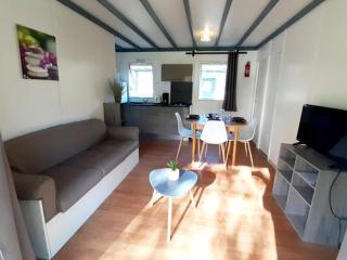 Chalet 48m² avec Terrasse à Coulon pour 7 personnes - API-1-52-632 - 9