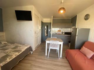 Studio lumineux avec balcon, proche Thermes, parking et Wi-Fi - FR-1-503-188 - 0
