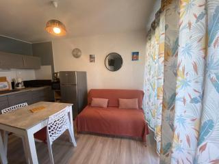 Location studio 20m², animaux admis à Balaruc-les-Bains - FR-1-503-188 - 9