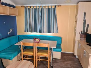 Mobil-home avec Terrasse - 2 Chambres, 6 Personnes - API-1-52-514 - Les Grandes-Ventes - 9