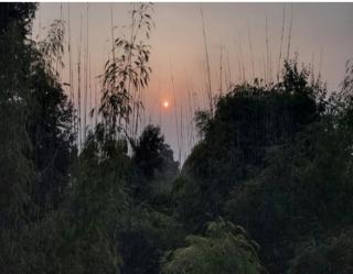 Sreemoyee Homestay - Hatikhuli - 1