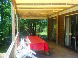 Mobil home spacieux avec terrasse à Dévillac - API-1-52-234 - 8