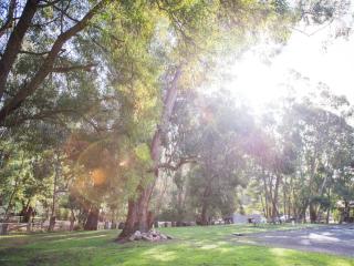 Gariwerd Motel - Halls Gap - 3