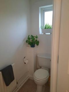 Cozy house with private garden - 6