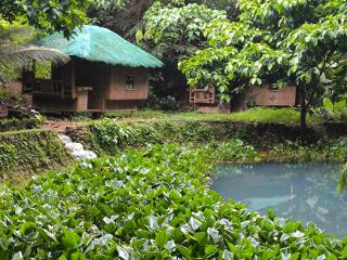 EL BOSQUE RESORT CORON - Coron - 4
