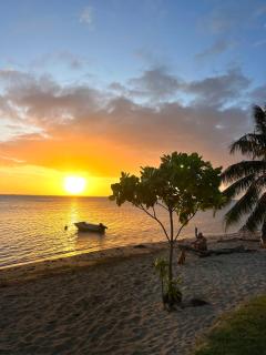 Bungalow Plage Boullaire-Moorea Dolphin Lodge - 6
