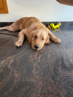 Homestay near Kochi Airport - 9