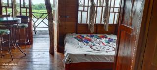 Eware Treehouse - Puerto Nariño - 4
