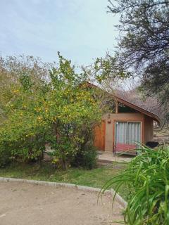 Cabañas Los Sauzales del Elqui - 7