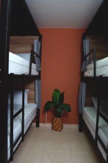 Bohemia Boutique Hostel - 4