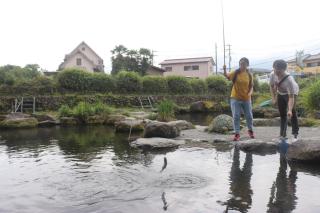 Numazu Sparkle - 5