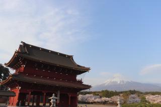 Numazu Sparkle - 6
