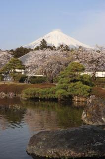 Numazu Sparkle - 8