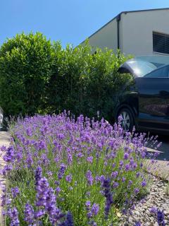 Large house with generous garden - 5