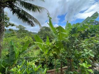 Crows Nest - 1