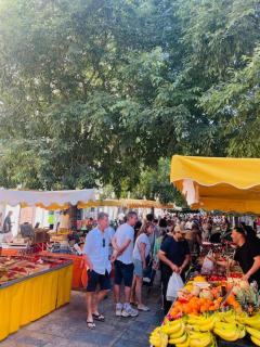 Stade Mayol - Toulon - 1
