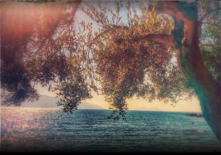 Dhoma plazhi Radhime Vlore - 1