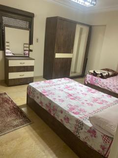 Nile view apartment - Il Cairo - 1