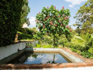 Your Montemor-o-Novo Mansion Escape - 7