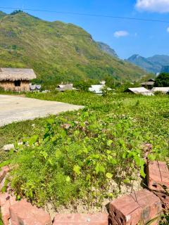 Du Gia Family Homestay & Coffee - Làng Cac - 6