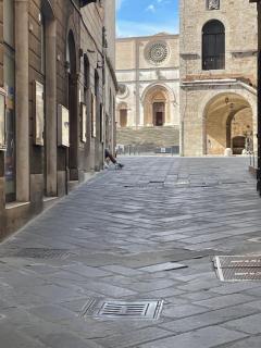Appartamento nel cuore di Todi - Todi - 3