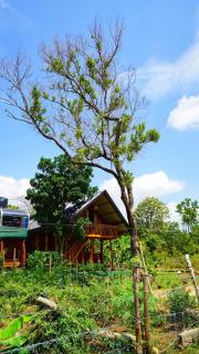 Lion Rock Haven Cabana - 1