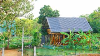 Lion Rock Haven Cabana - 2