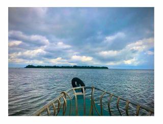 The Backwater Rhapsody, Alleppey - 3
