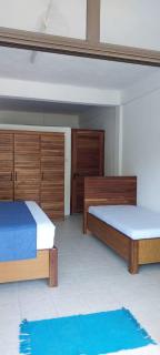 Le Cactus Guest House - Port Maturin - 6
