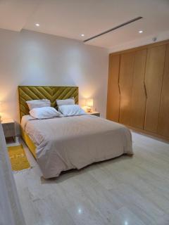 Luxurious Apartment - 5