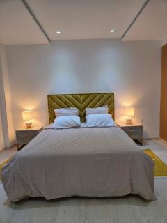 Luxurious Apartment - 2