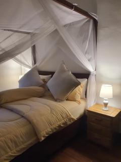 Sumatra Cheeky Monkeys Villa, Trekking and Tours - 7