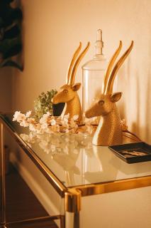 Walk to BartonSwim, Eat at SoCO Sleeps 8 - 0