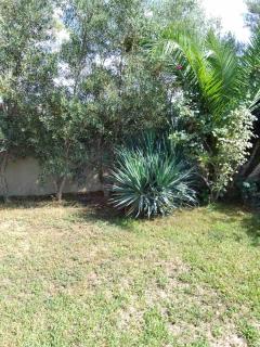 Palm Garden apartment - 5