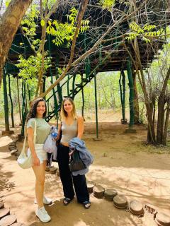 Yala Tree House by 47 - Tissamaharama - 5