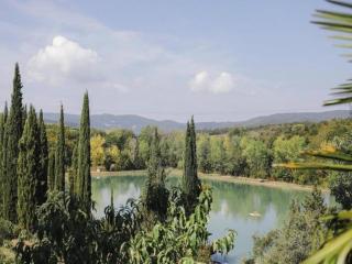 Huge Holiday Home in Marina di Castagneto Carducci near Sea - 1