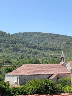 Jackie on Hvar - Stari Grad - 4