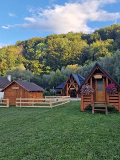 Cabana OAZA AMURG - 1