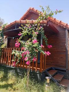 Riviera bungalow evleri demre - 9