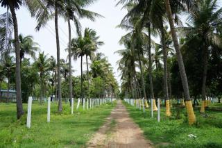 Siesta Inn - Lake view - 2