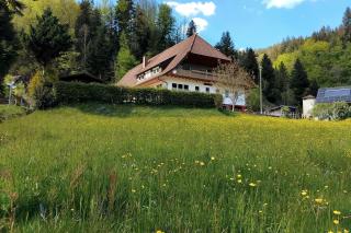 Wolftalliebe - 8