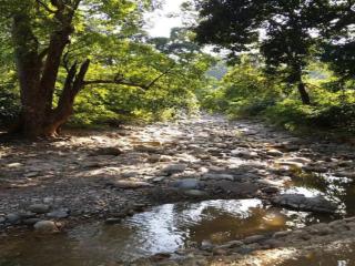 Eiyuu Hotels - Wildlife & Nature Vista - 3