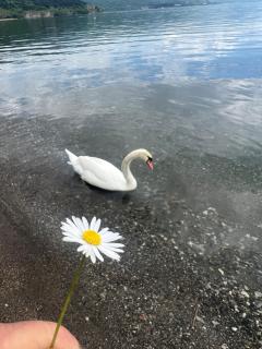 Apartment near Lake Ohrid - 1