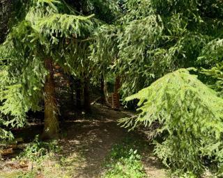 Camping Mitrov - 6