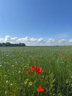 L'Échappée normande - 1