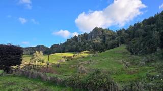 Te Anga Farmstay - 9
