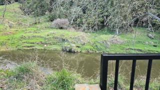 Te Anga Farmstay - 6