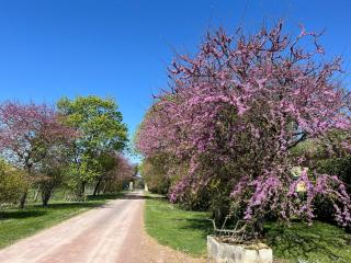 Gîte dans un domaine équestre - 1