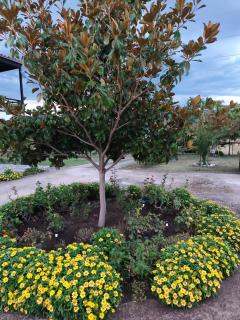 Meteora countryside villa - 1